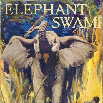 Ralph Durand's 'Elephant Swamp,' cover, from the Priaulx Library Collection