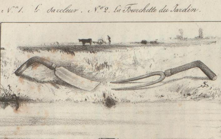 Sarcleur and Fourchette, from Jacob's Annals, Priaulx Library Collection