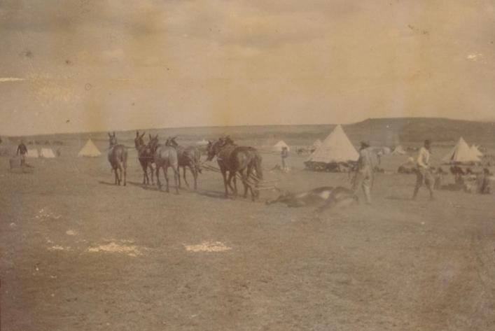 Boer War Encampment from Ralph Durand's Africa Cuttings Book, Priaulx LIbrary Collection