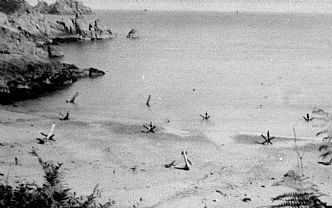 Anti-tank defences at Saints Bay